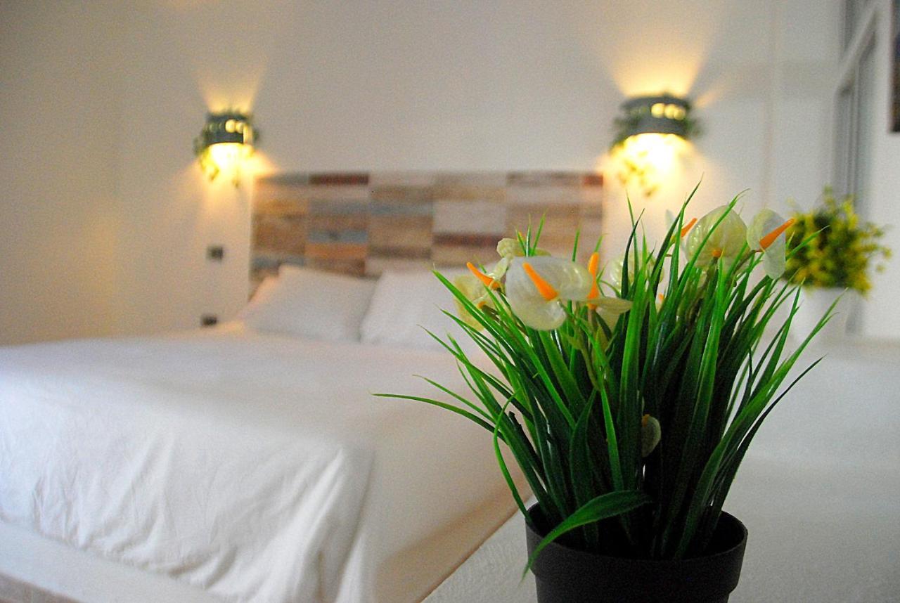 Nuovo Hotel Playa Catalina Ла Романа Екстериор снимка